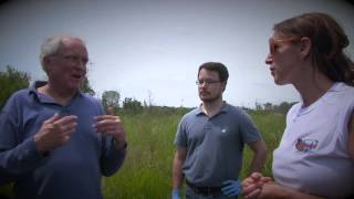 Outdoor Wild  wetlands Part 2  IL .  Neal Marsh