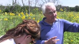 Outdoor Wild the IL Wetland's